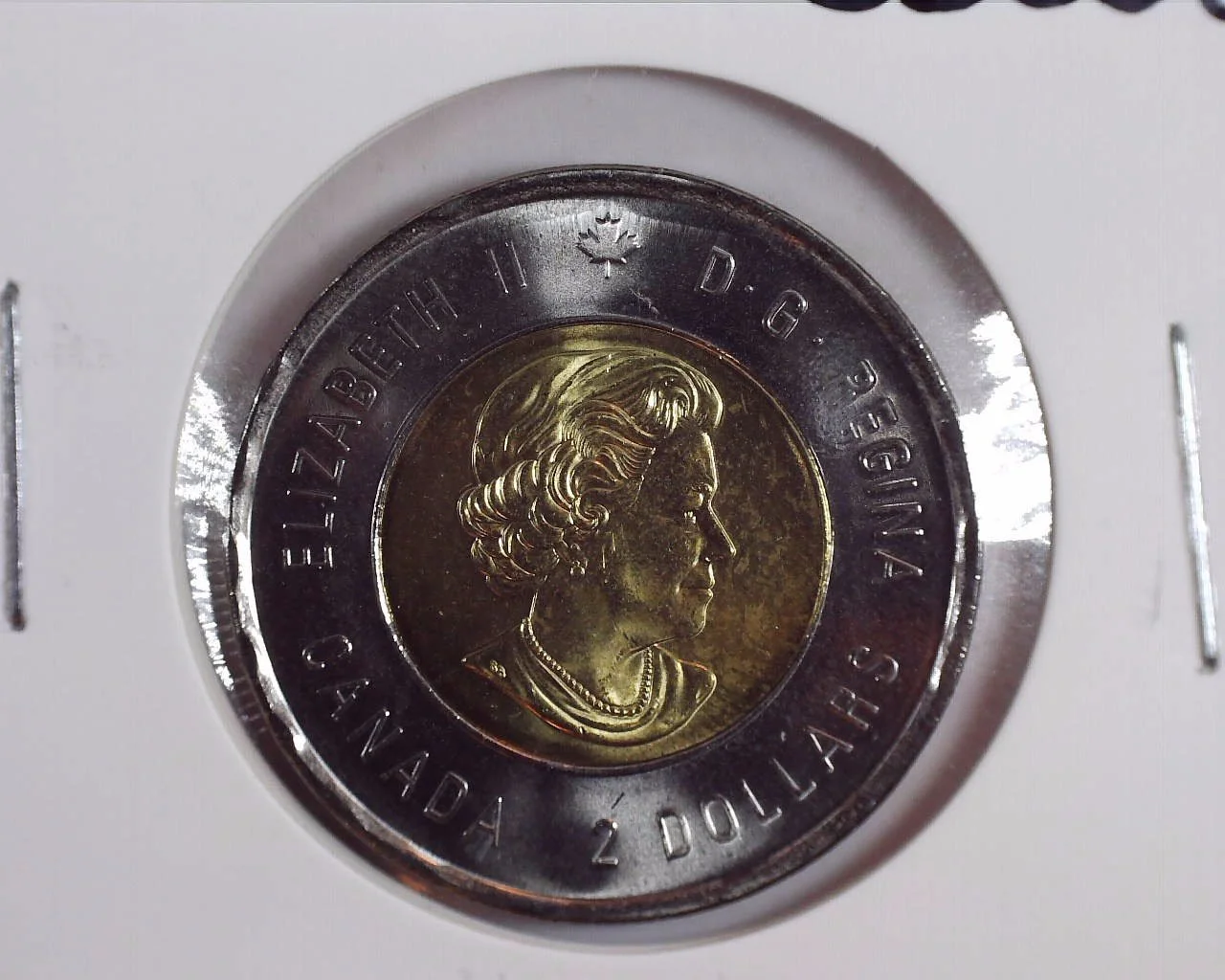 2021 T2 Canadian Toonie