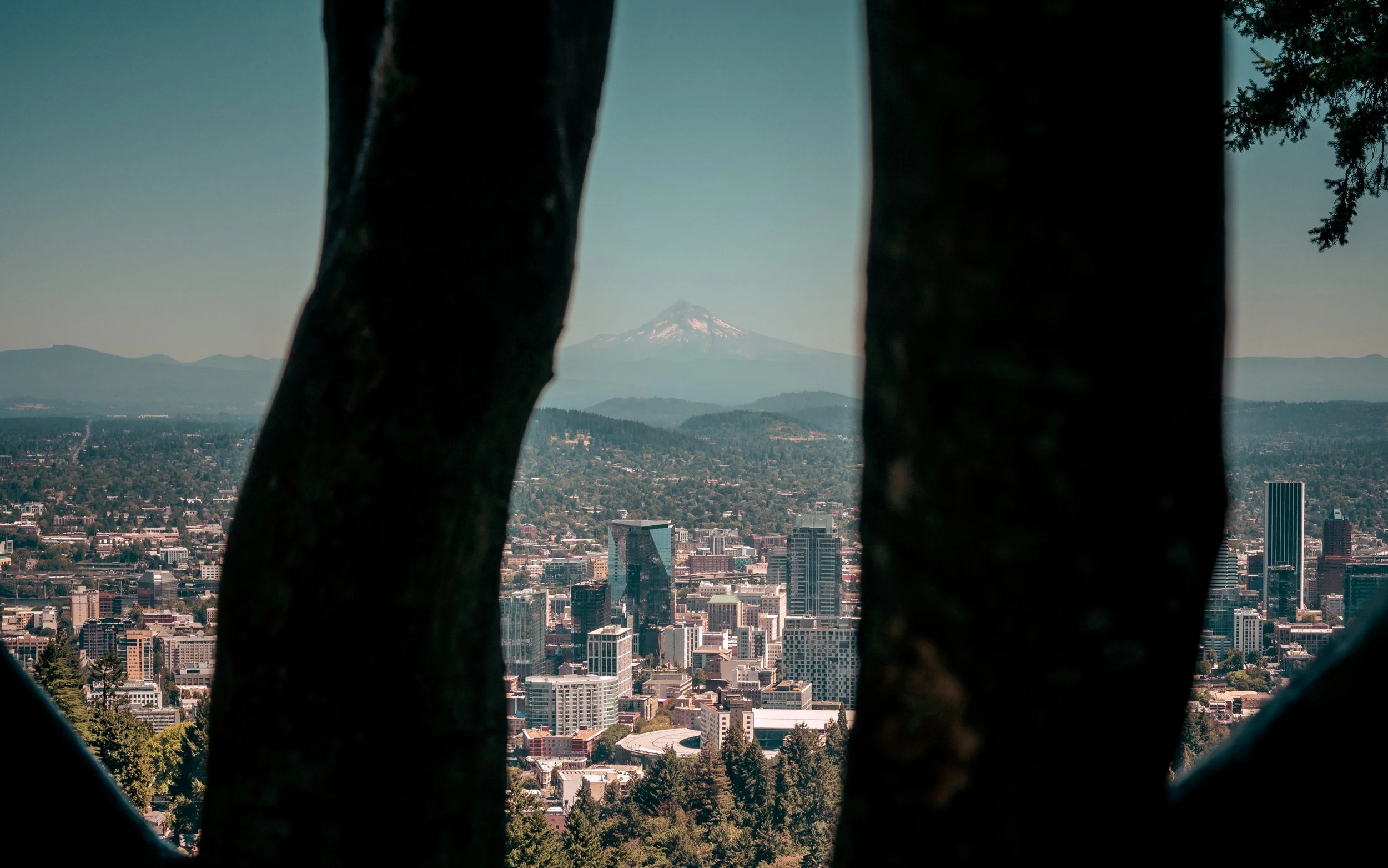 portlandskyline.jpg