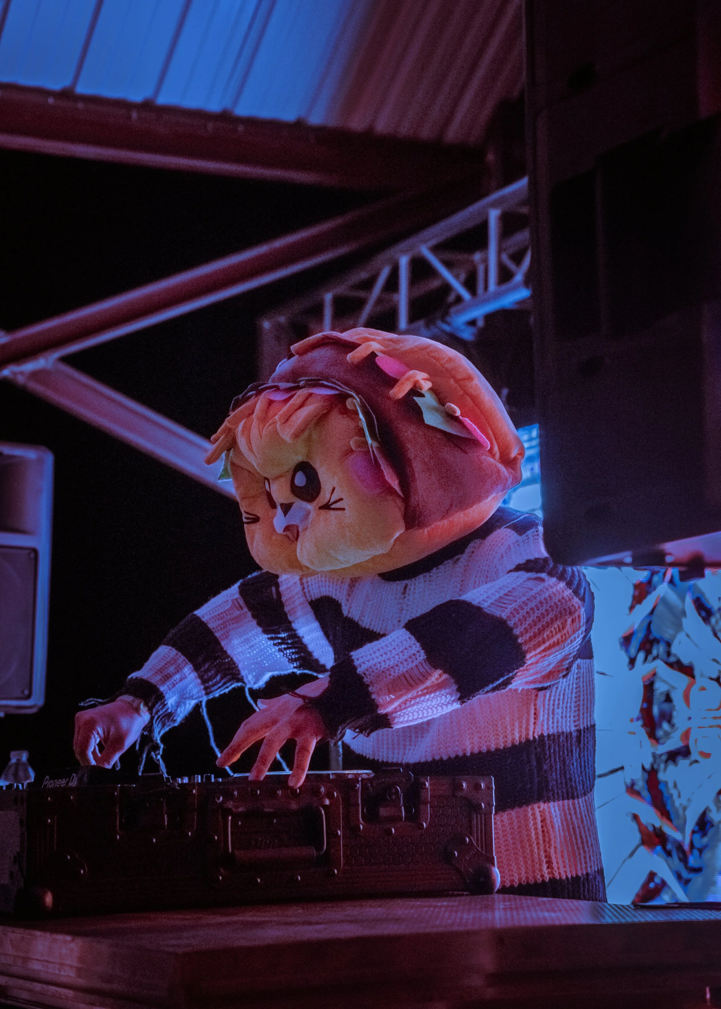 tacocat-compresso.jpg