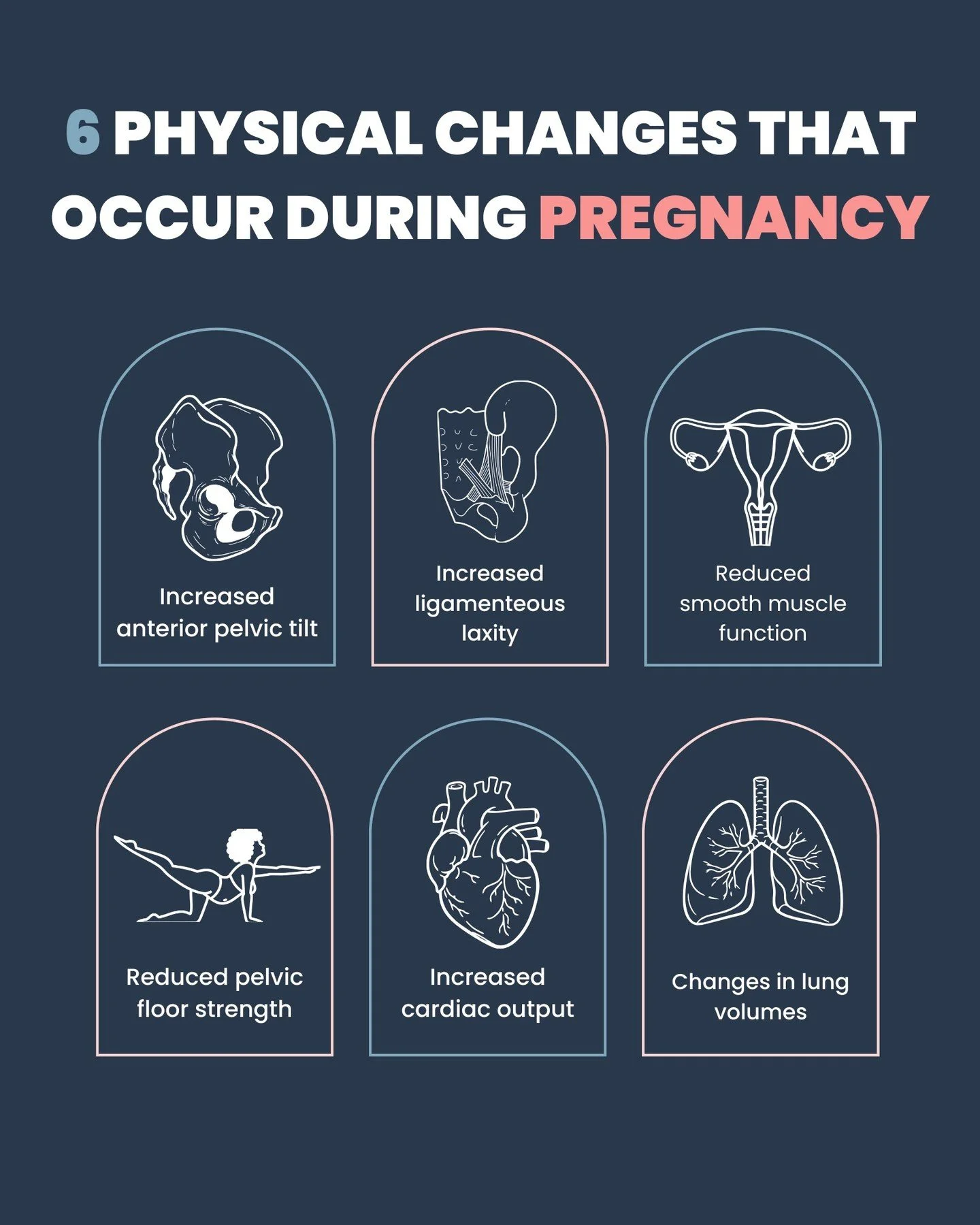 The body does incredible things during pregnancy 🤍

Every system adapts to support mum and bub:

&bull; Pelvis tilts to accommodate growth
&bull; Ligaments loosen (hello, flexibility&hellip; and instability)
&bull; Core + pelvic floor muscles work o