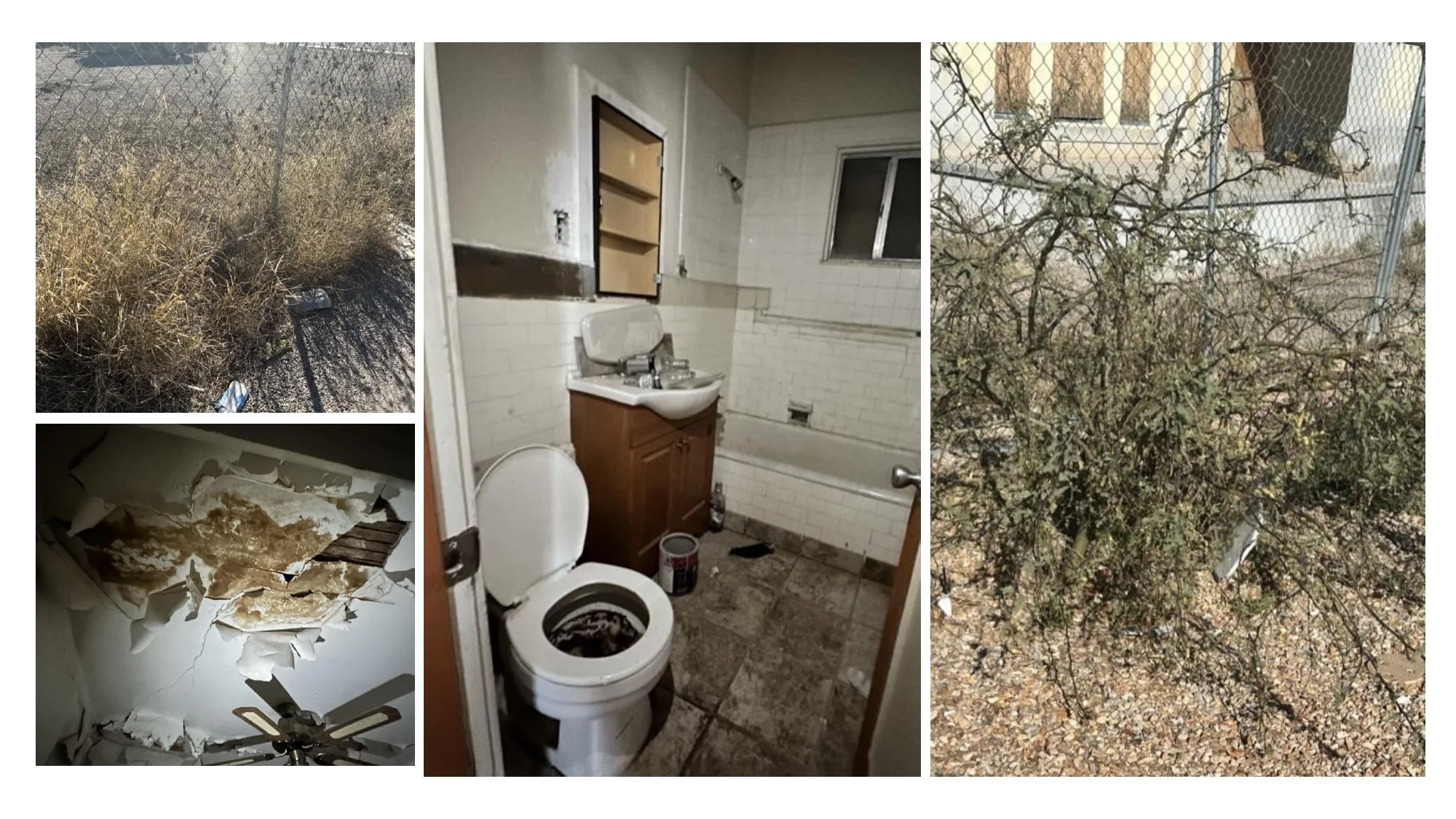 Thelma and Louise RN PPT Feb 10_page-0003.jpg