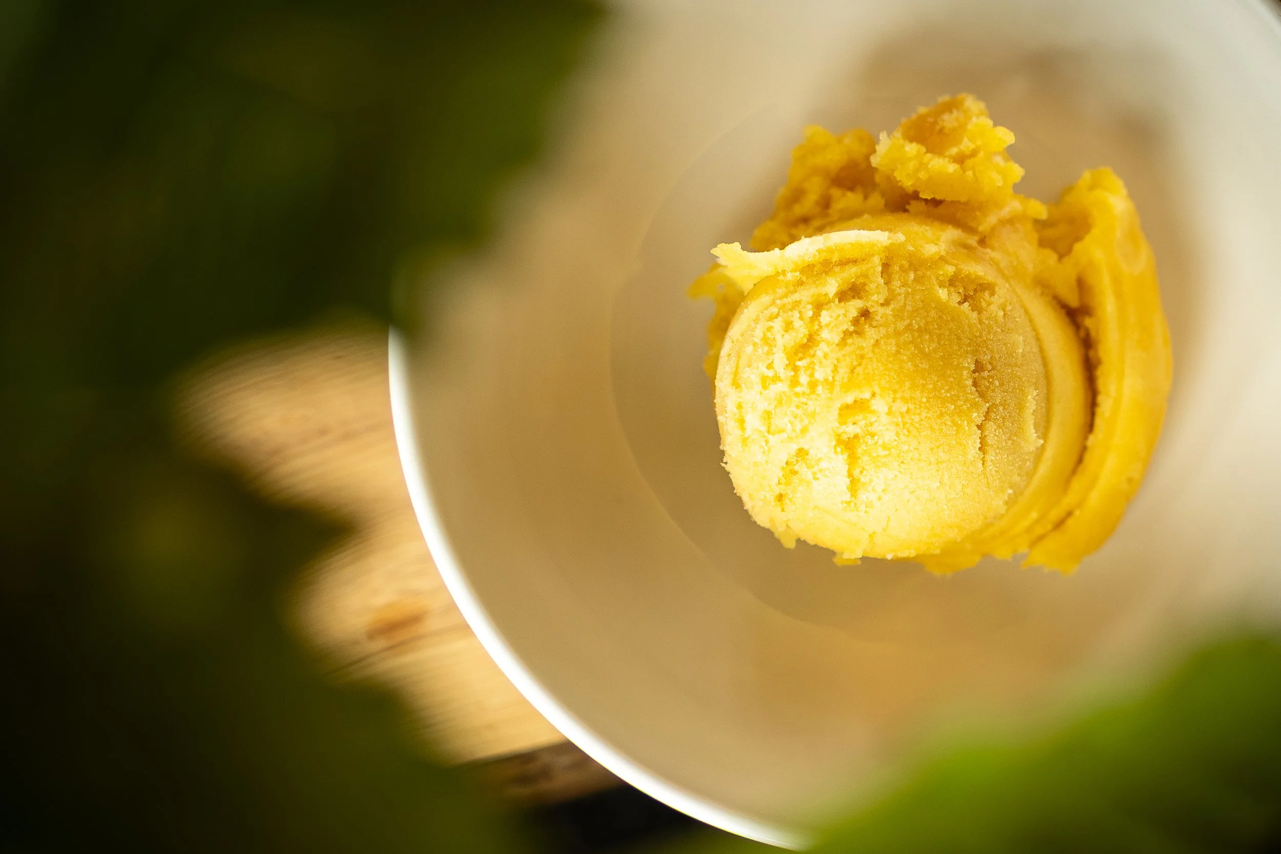 Close-up of a yellow scoop of ice cream in a white bowl, with blurred greenery around the edges.