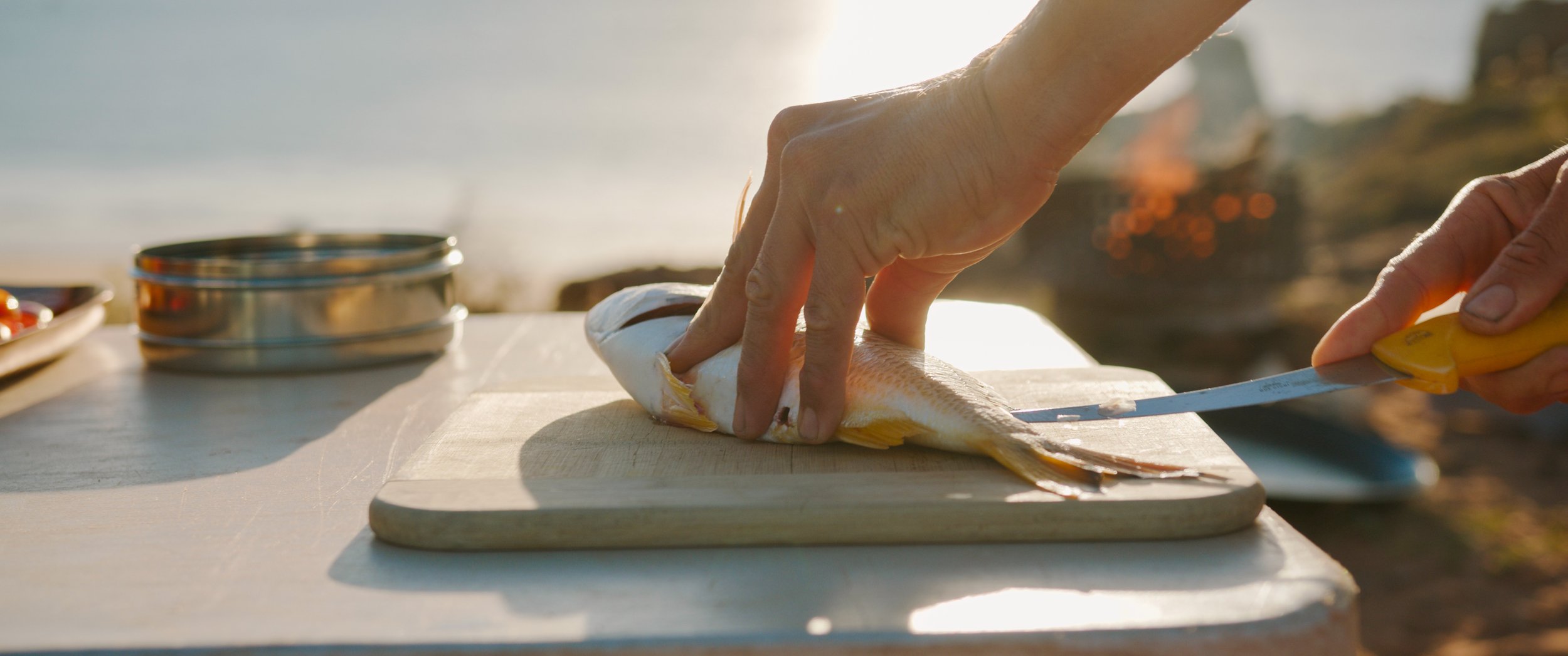 Natures Finest Ingredients - Sizzle Reel