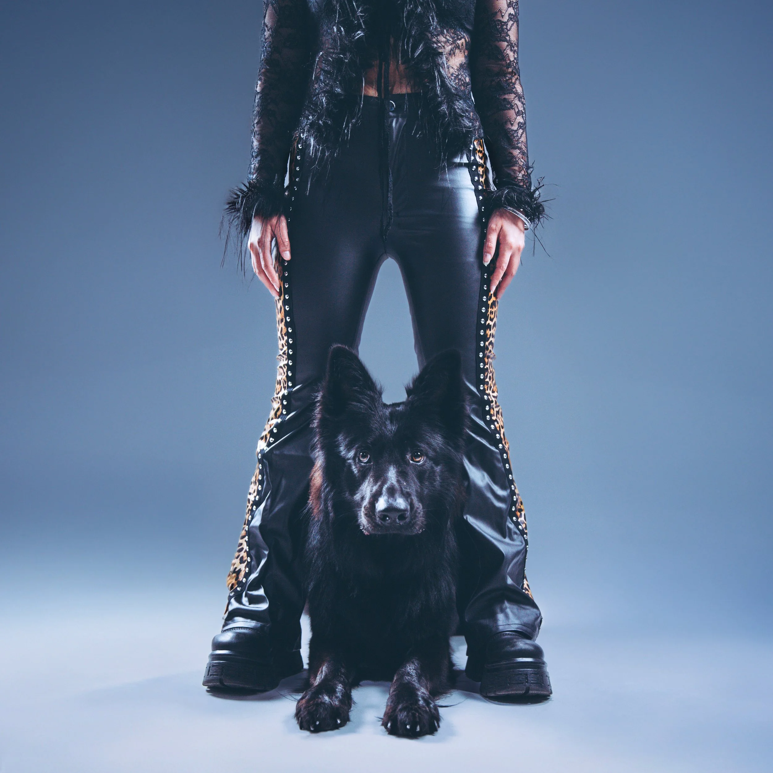 Animal-cover1-2.jpg