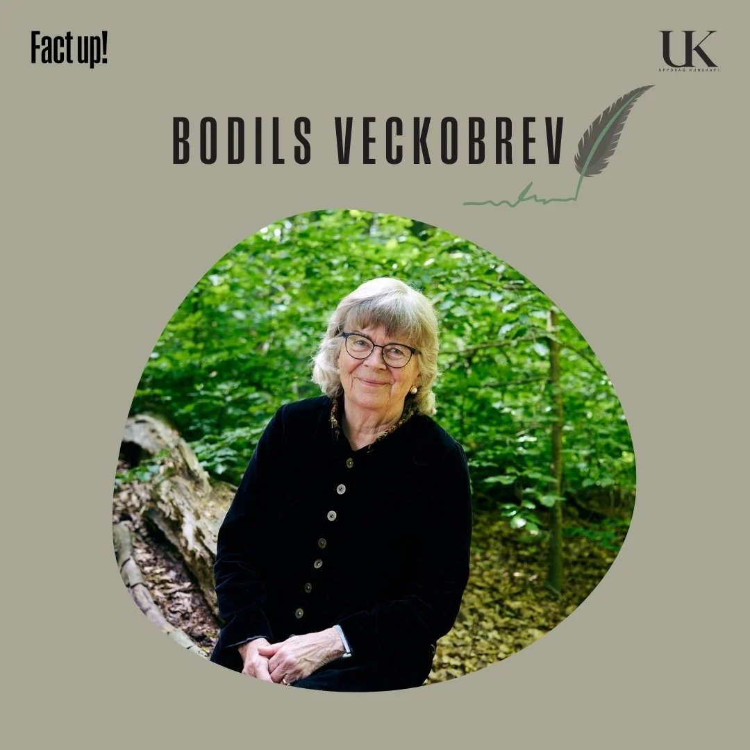 Veckobrev 95 - Vad vi har lärt oss av kunskapsfladdret, 2000-2025, 0(10)