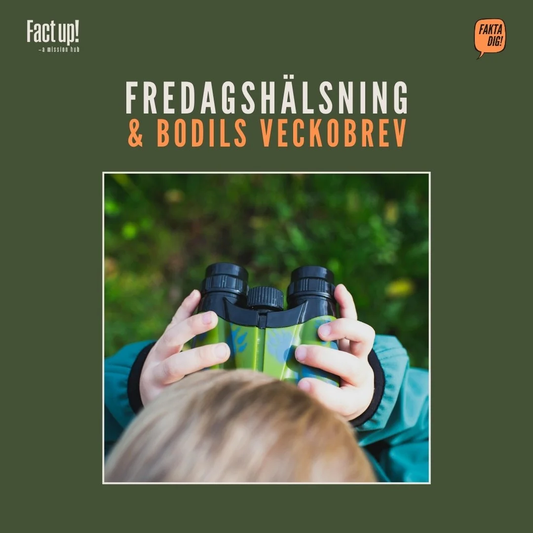 Nytt år och nya perspektiv!