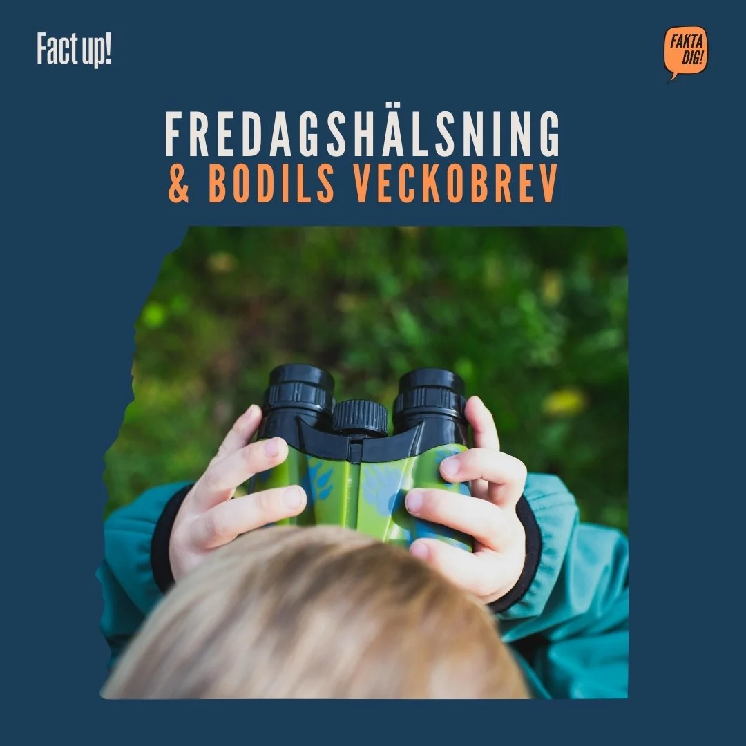 Nytt år och nya perspektiv!