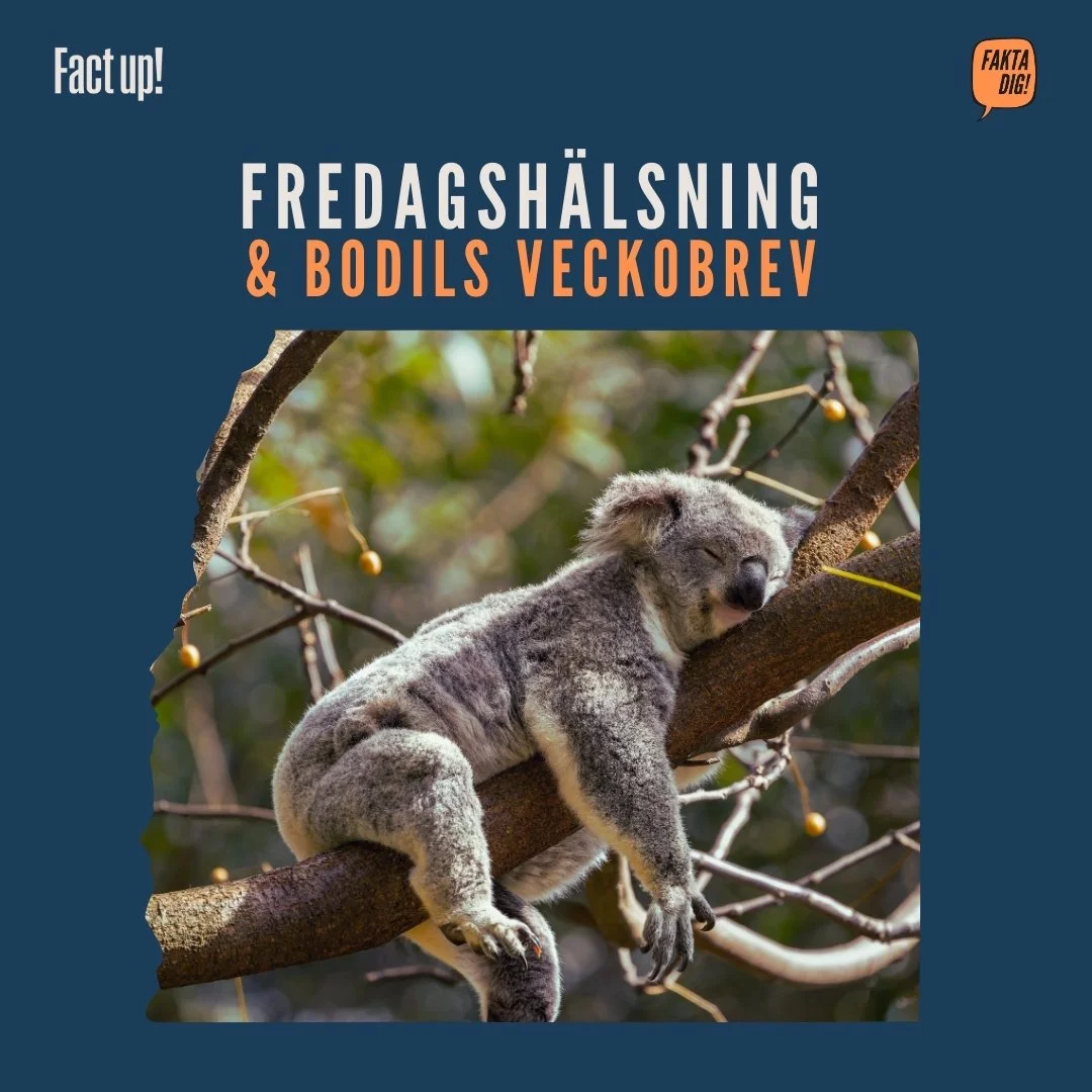 Finns det ett botemedel för kunskapsutmattningen?