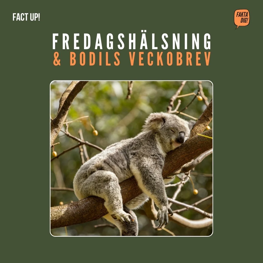 Finns det ett botemedel för kunskapsutmattningen?