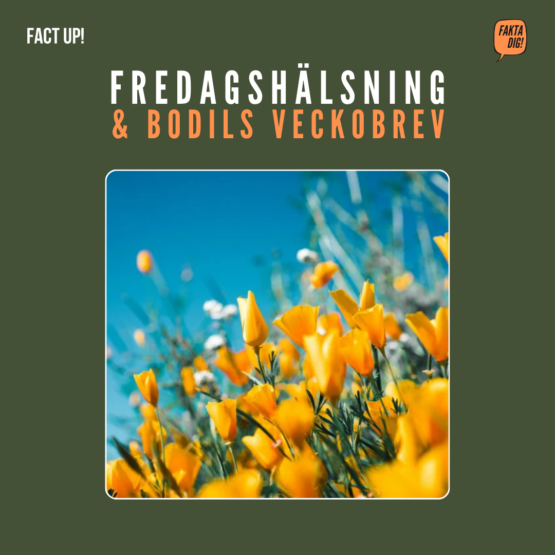 Värdet av överlappande kunskap