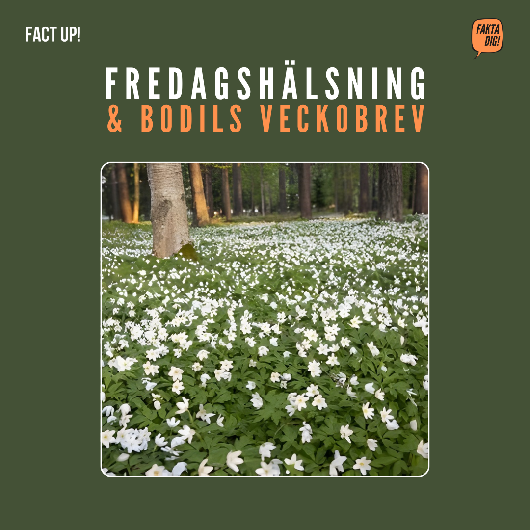 Vårens och kunskapens blommning