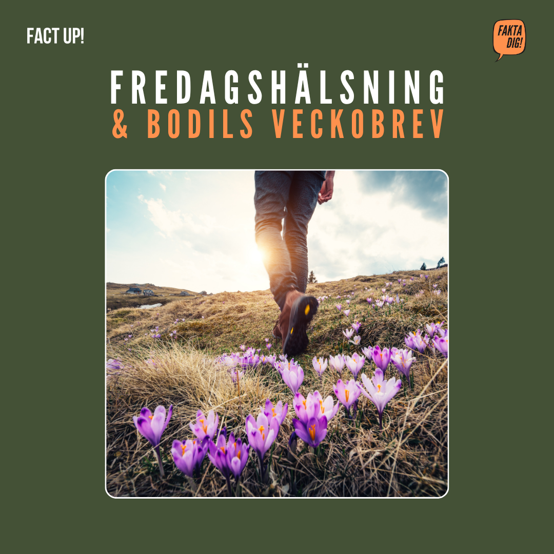 När tiden får ta tid