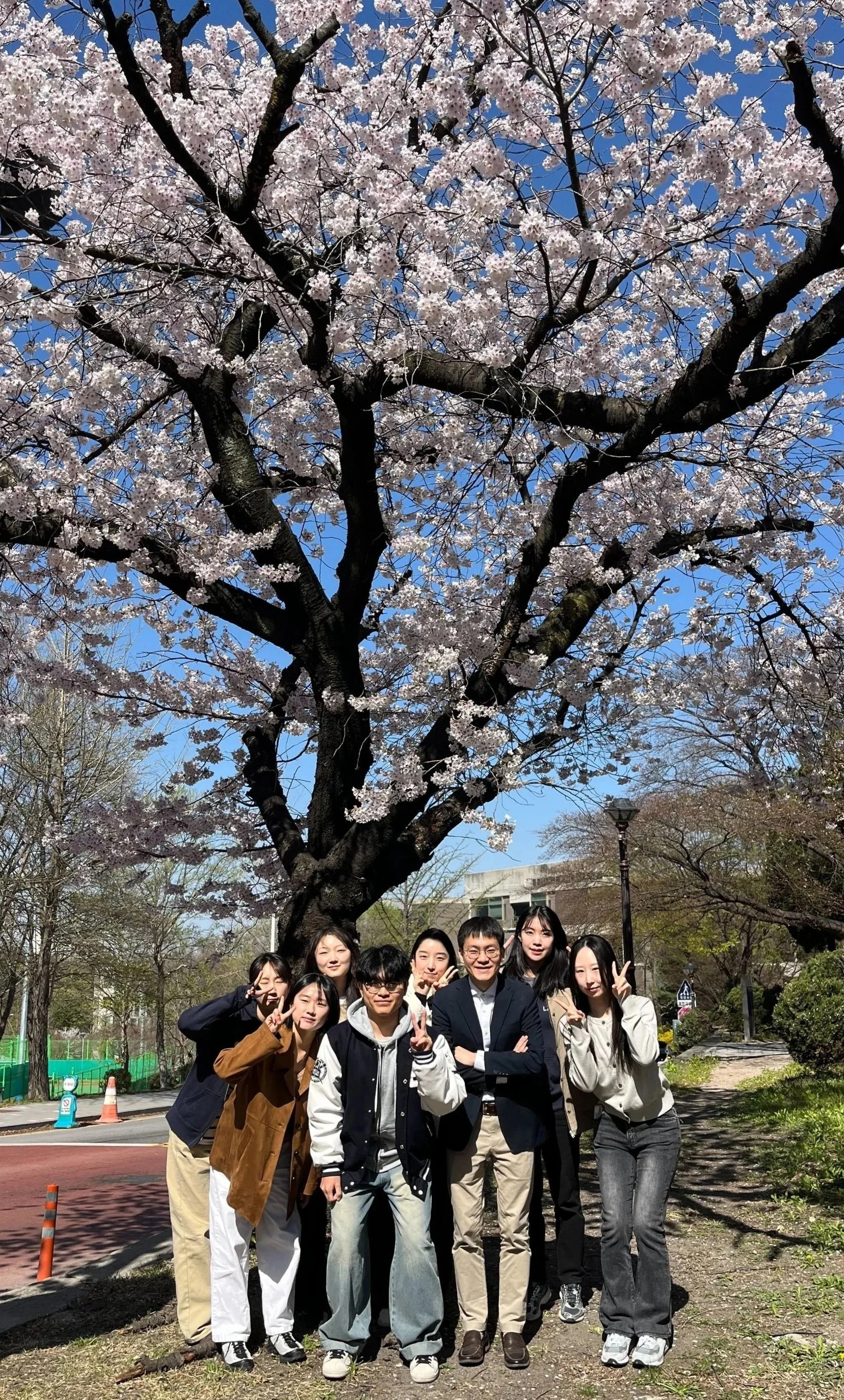 2026 Cherry Blossom