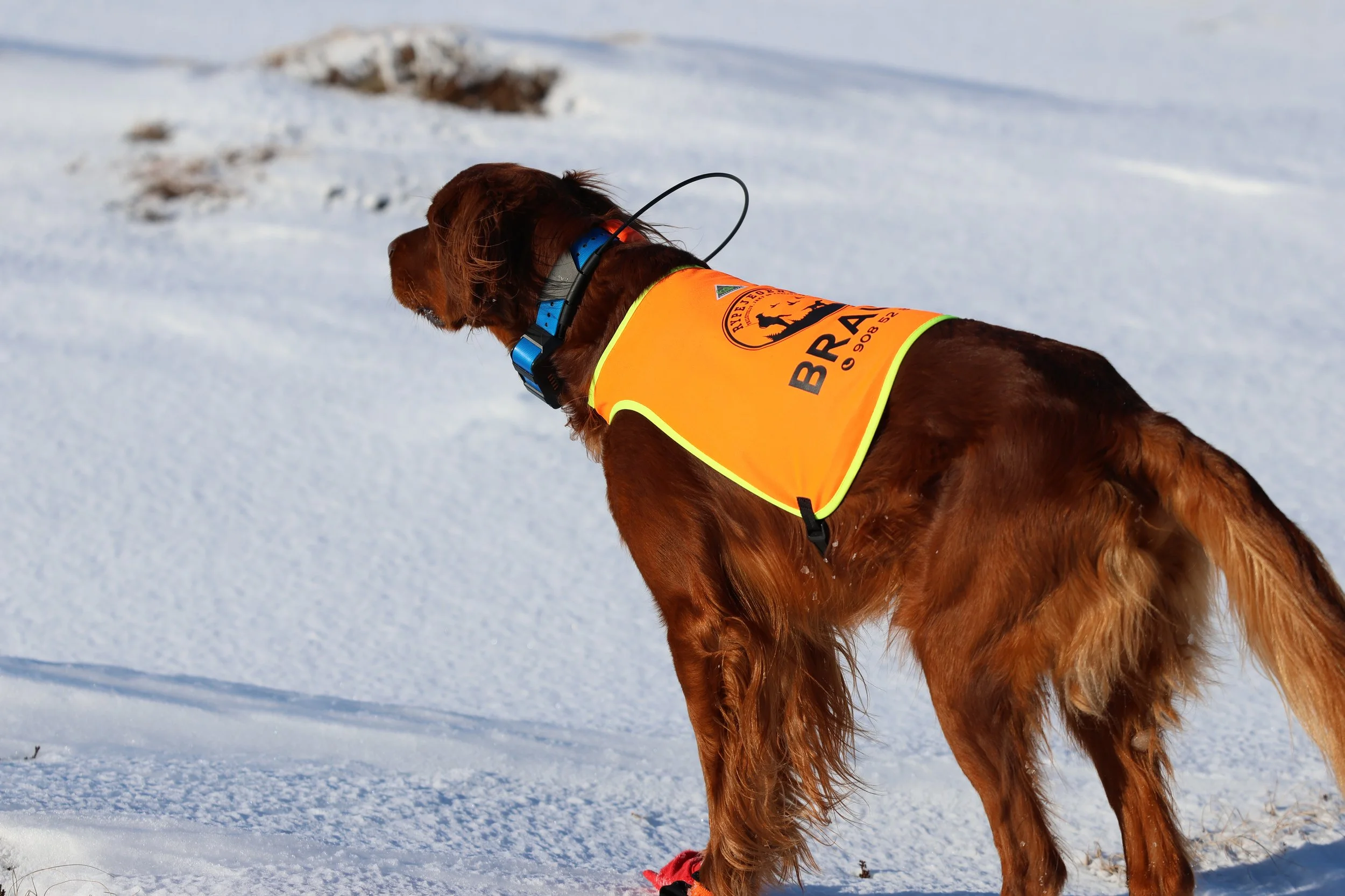 Jaktdekken m/ navn + telefonnummer
