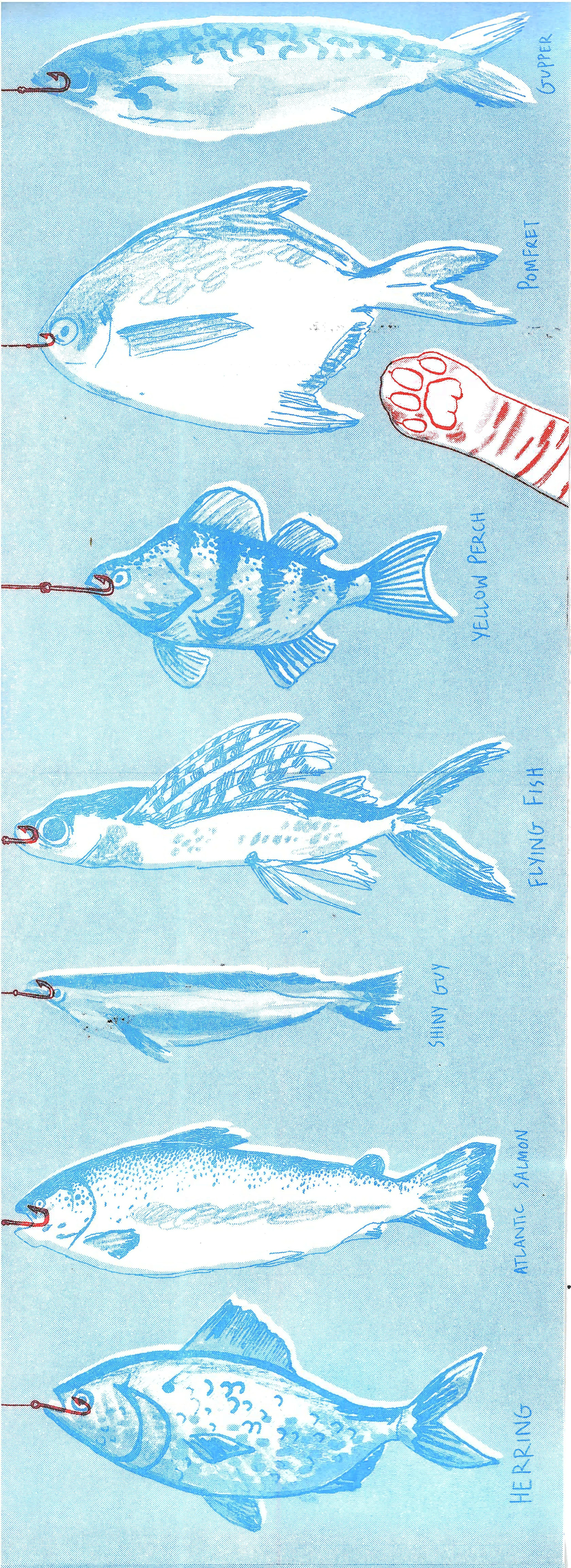 scan catch of the day copy.jpg