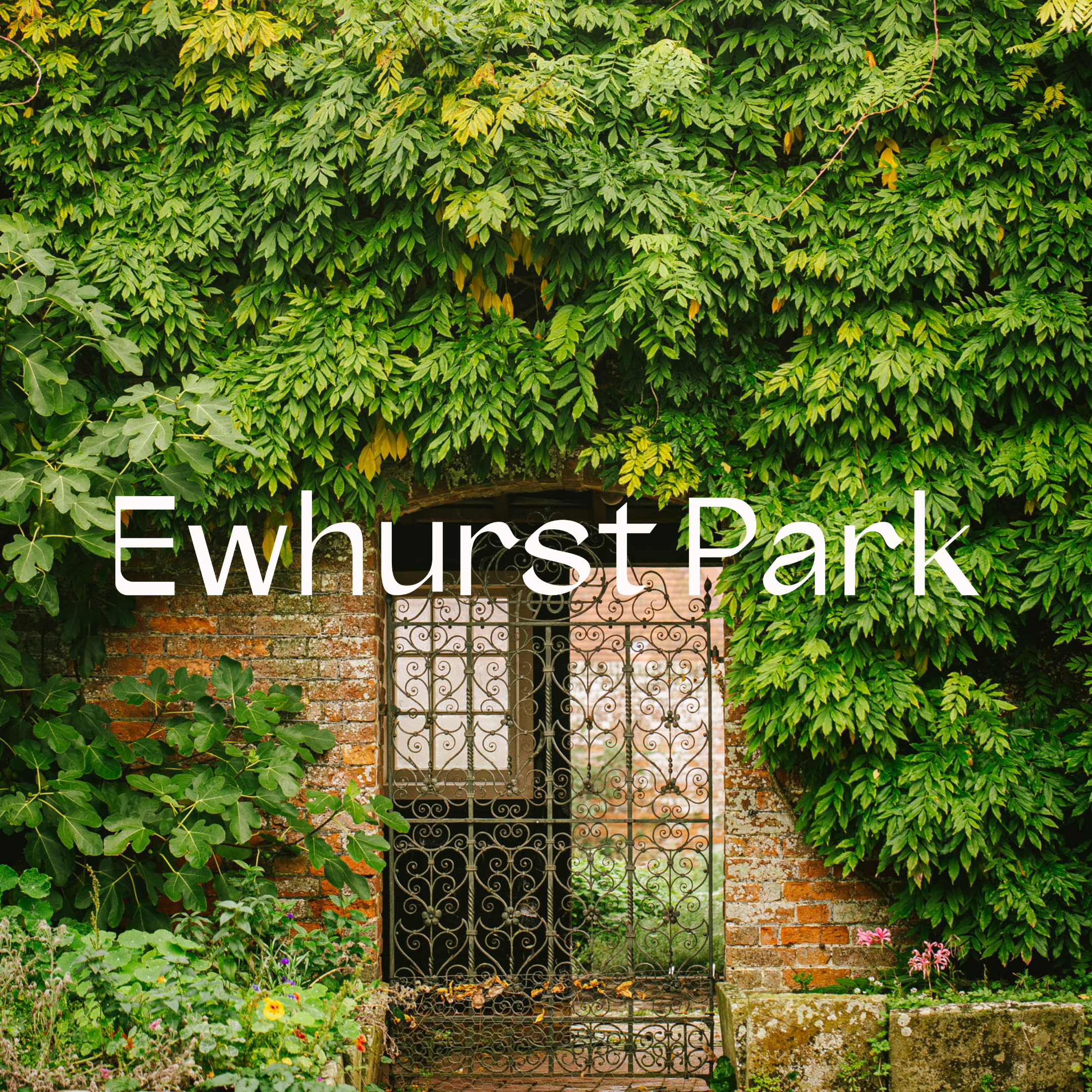 Ewhurst Park is a very special and beautiful nature restoration project, spread over a 925 acre historic estate in Hampshire where beautiful interiors and exquisite wildlife come to life as part of a landmark biodiversity project spearheaded by owner