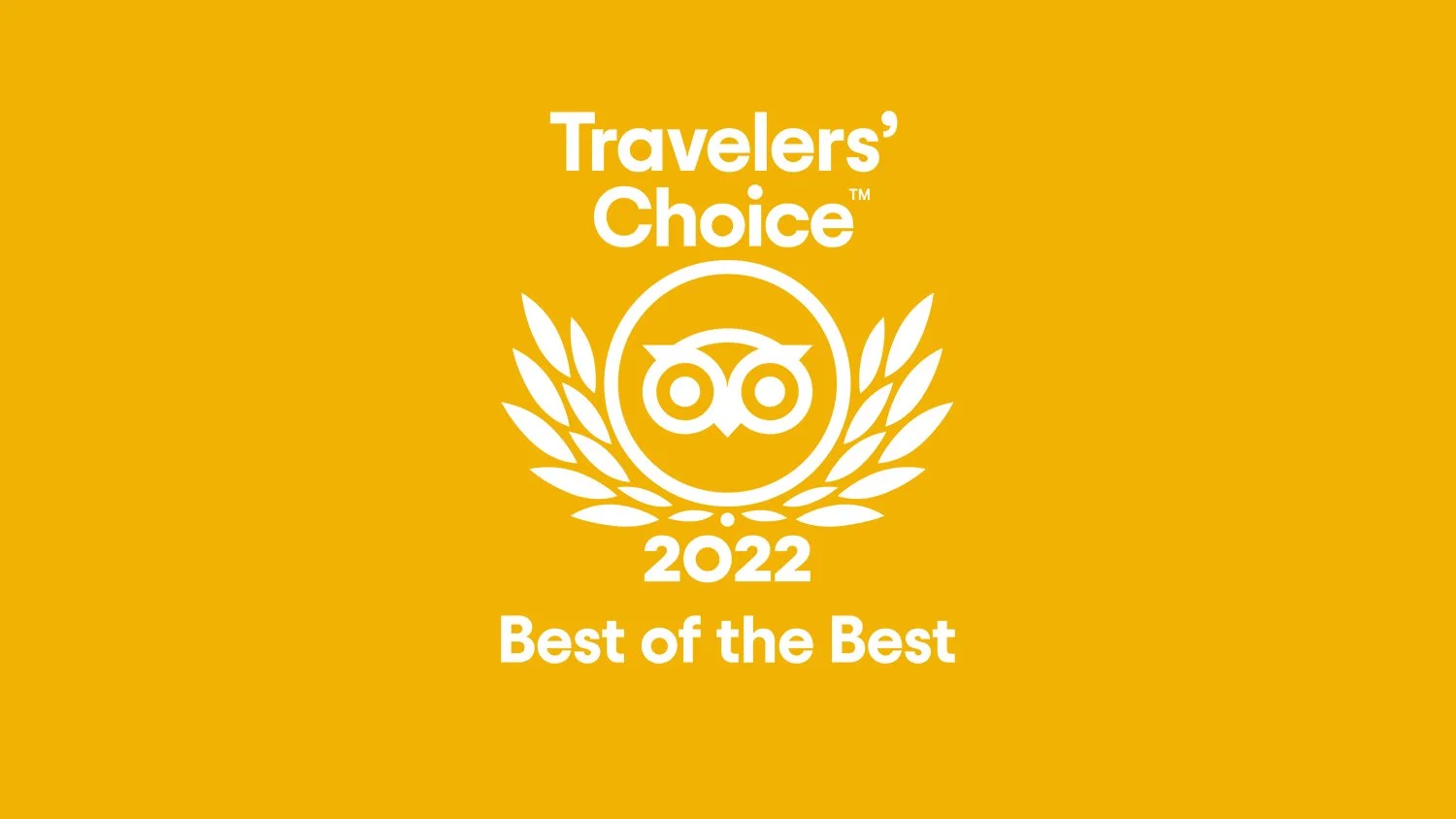       
  
    I nuovi hotel del momento: Mondo   Nuovi hotel che faranno sicuramente colpo.  Questo premio è  il maggiore riconoscimento che viene conferito annualmente alle strutture nominate   Best of the Best  su  Tripadvisor  , ovvero quelle che 