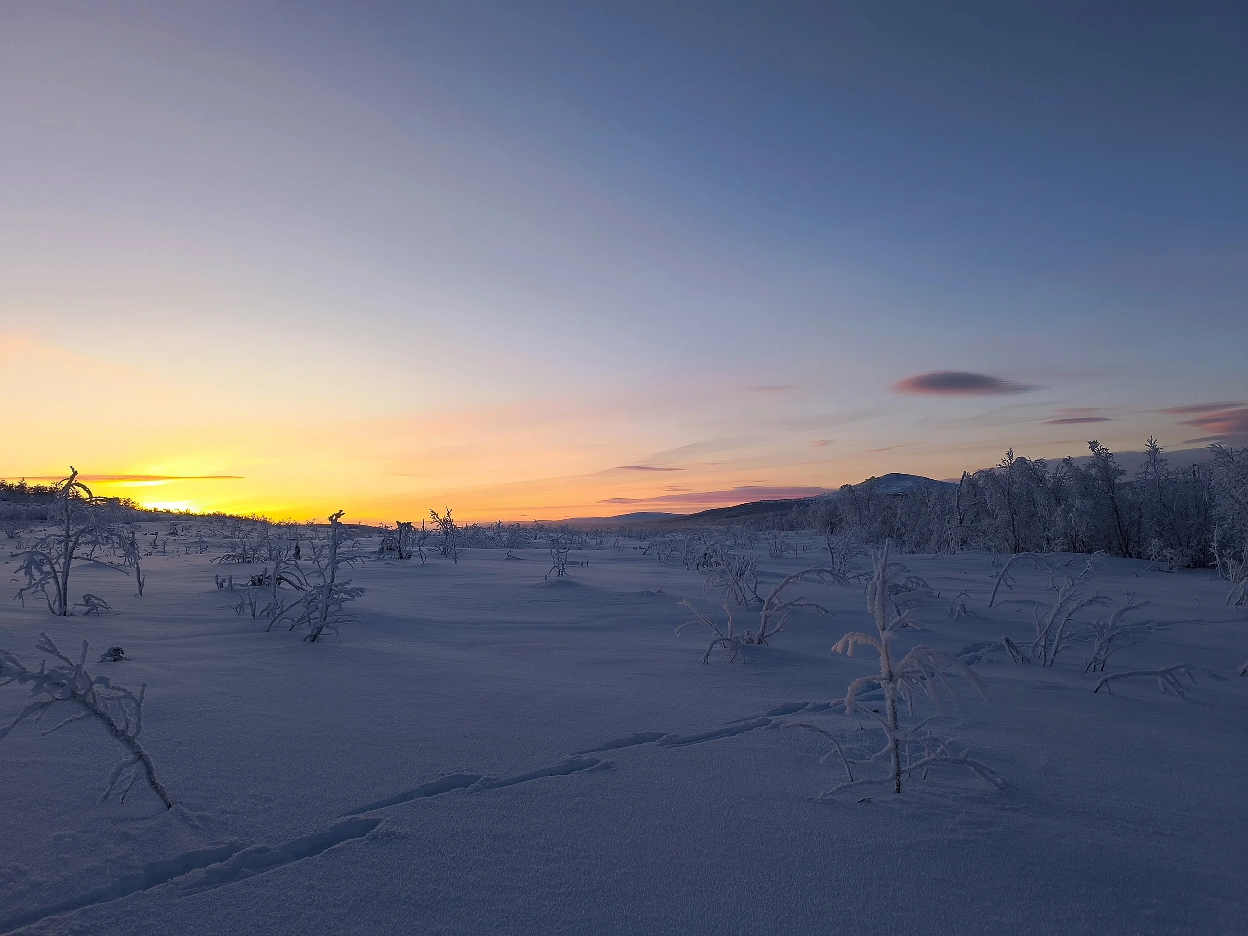 Gravity Surveys in Northern Sweden