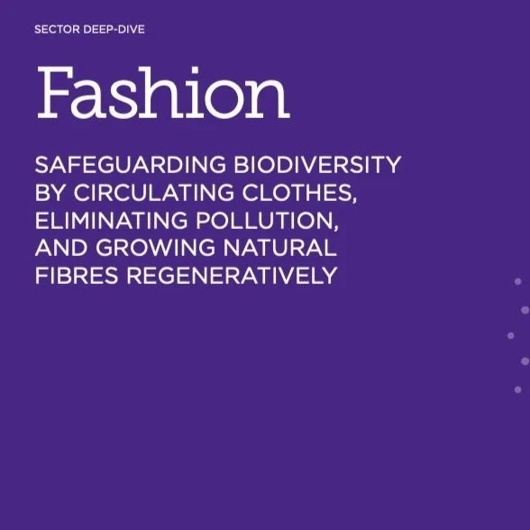 Capture d’écran 2024-04-18 à 11.35.18.jpg