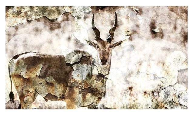 Rusty-Eland-sm-UF.jpg