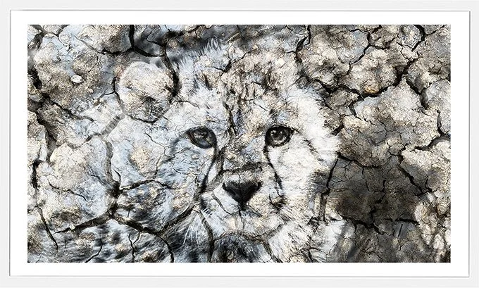 Snow-Cheetah-sm.jpg