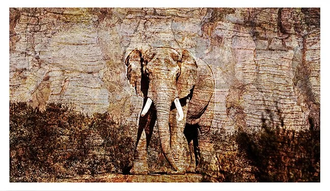 Gentle-Giant-sm-UF.jpg