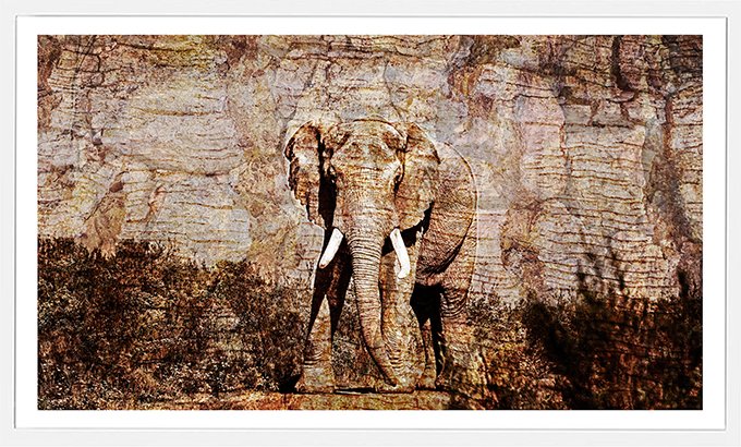 Gentle-Giant-sm.jpg