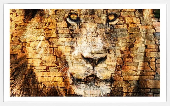 Lions-Rock-sm.jpg
