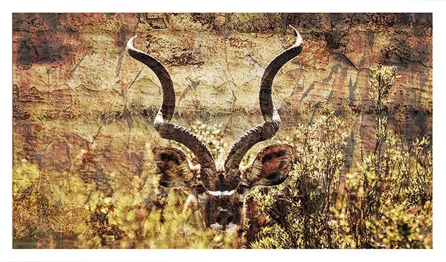 Kudu-Blooms-sm-UF.jpg
