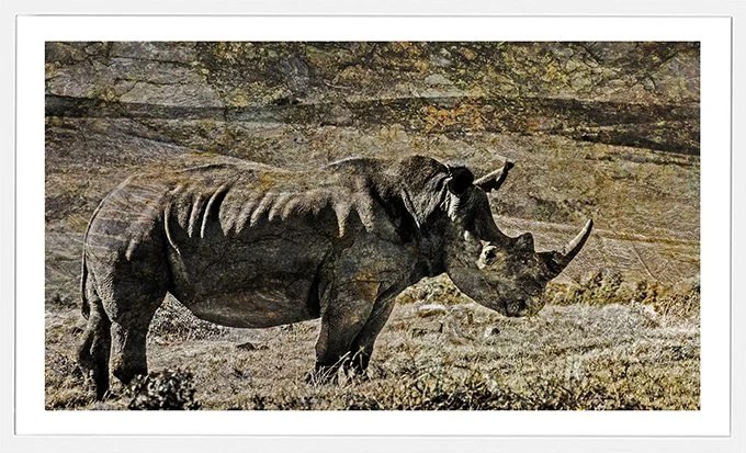 Horn-of-Africa-sm.jpg