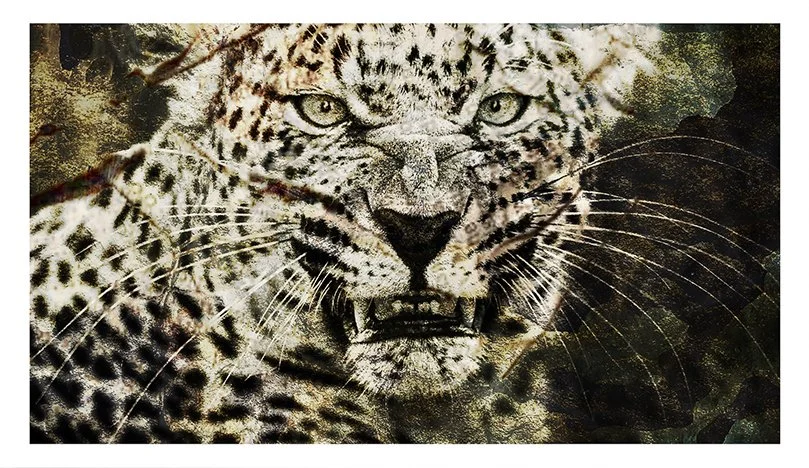 Snarl