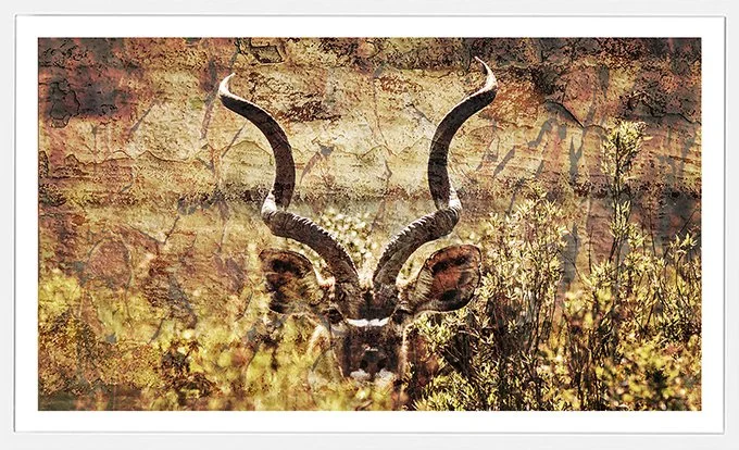 Kudu-Blooms-sm.jpg