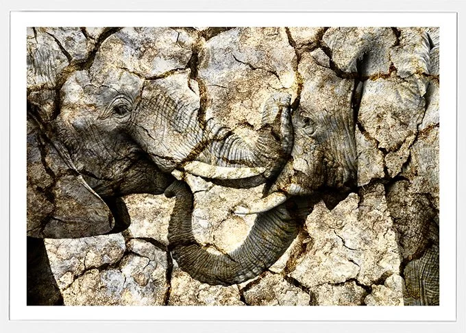 Trunk-Kiss-sm.jpg