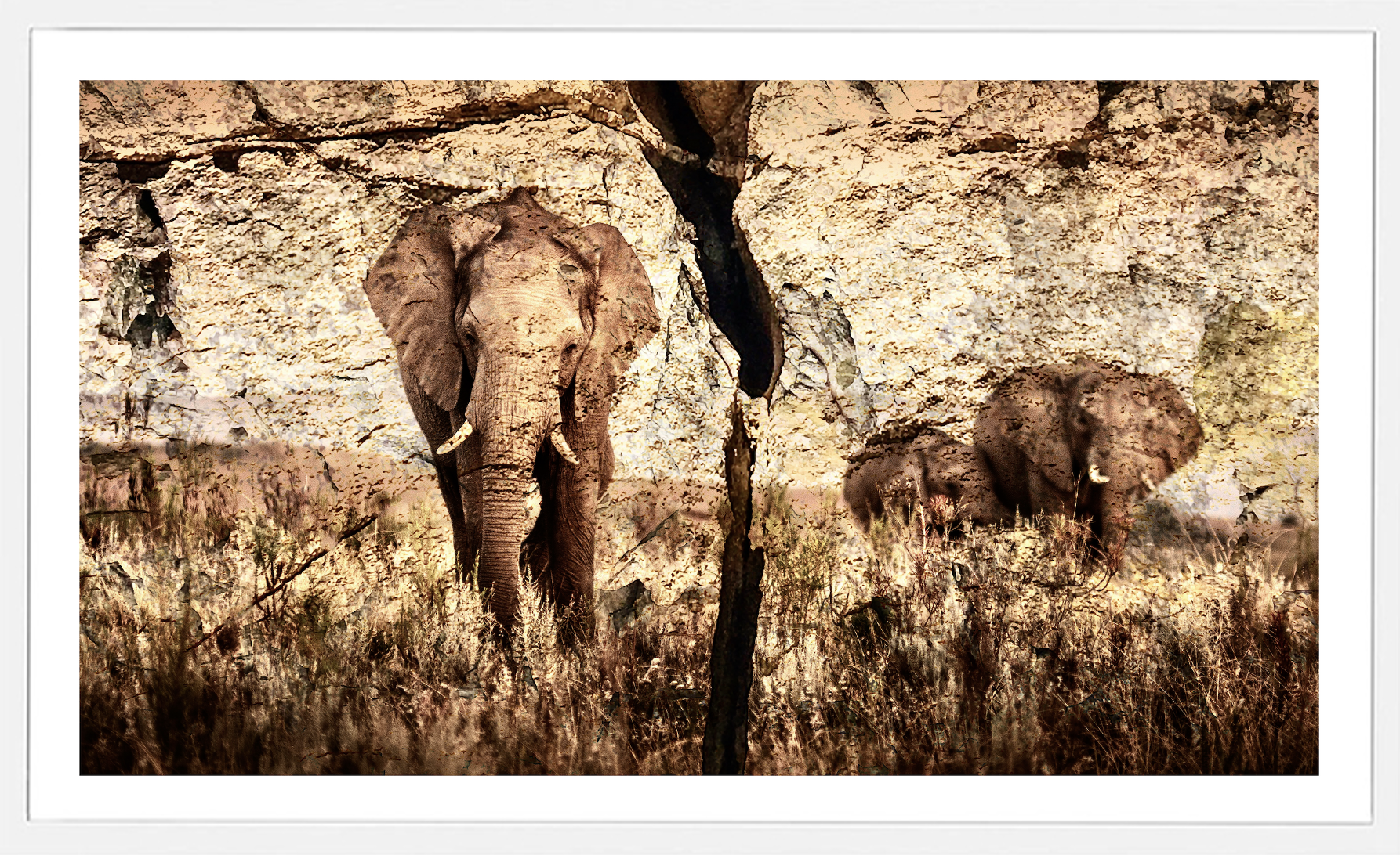 Elephant Rocks.png