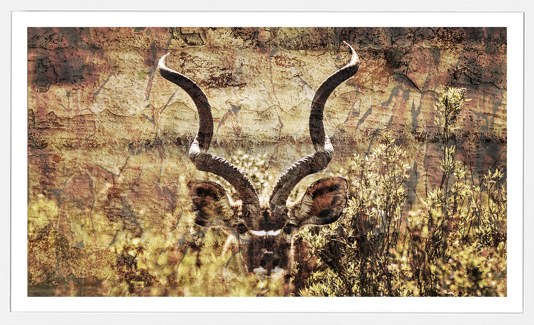 Kudu Blooms.png
