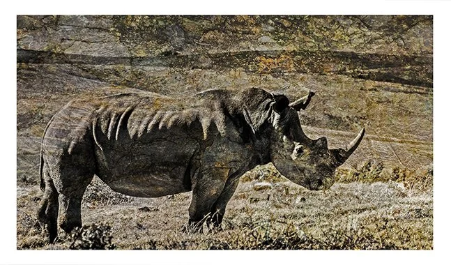 Horn-of-Africa-sm-UF.jpg