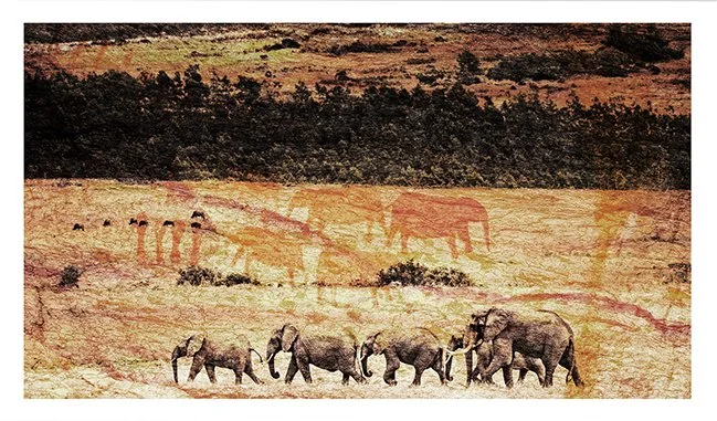 Journey Through Time