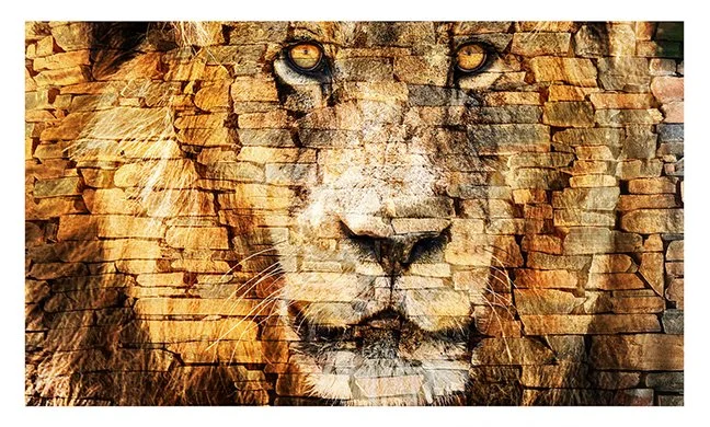 Lions Rock