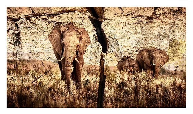 Elephant-Rocks-sm-UF.jpg