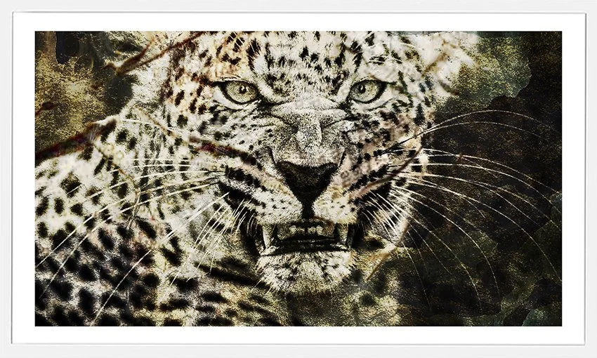 Snarl-sm.jpg
