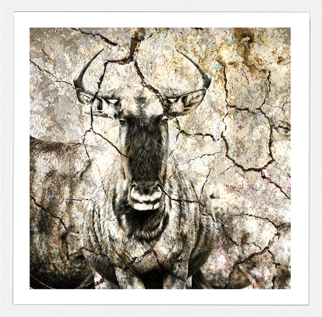Wild Beast.png