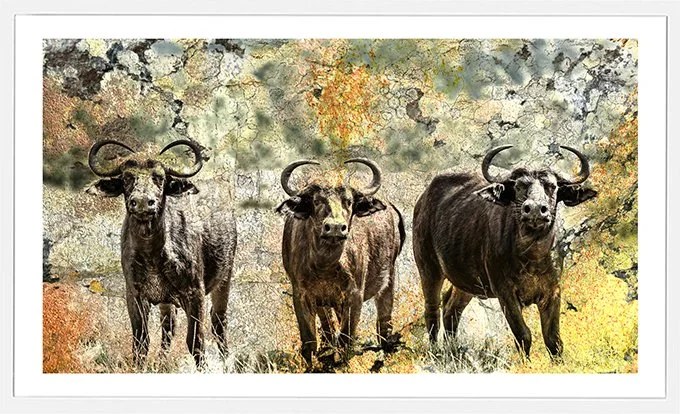 The-Three-Amigos-sm.jpg