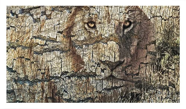 Lion Bark