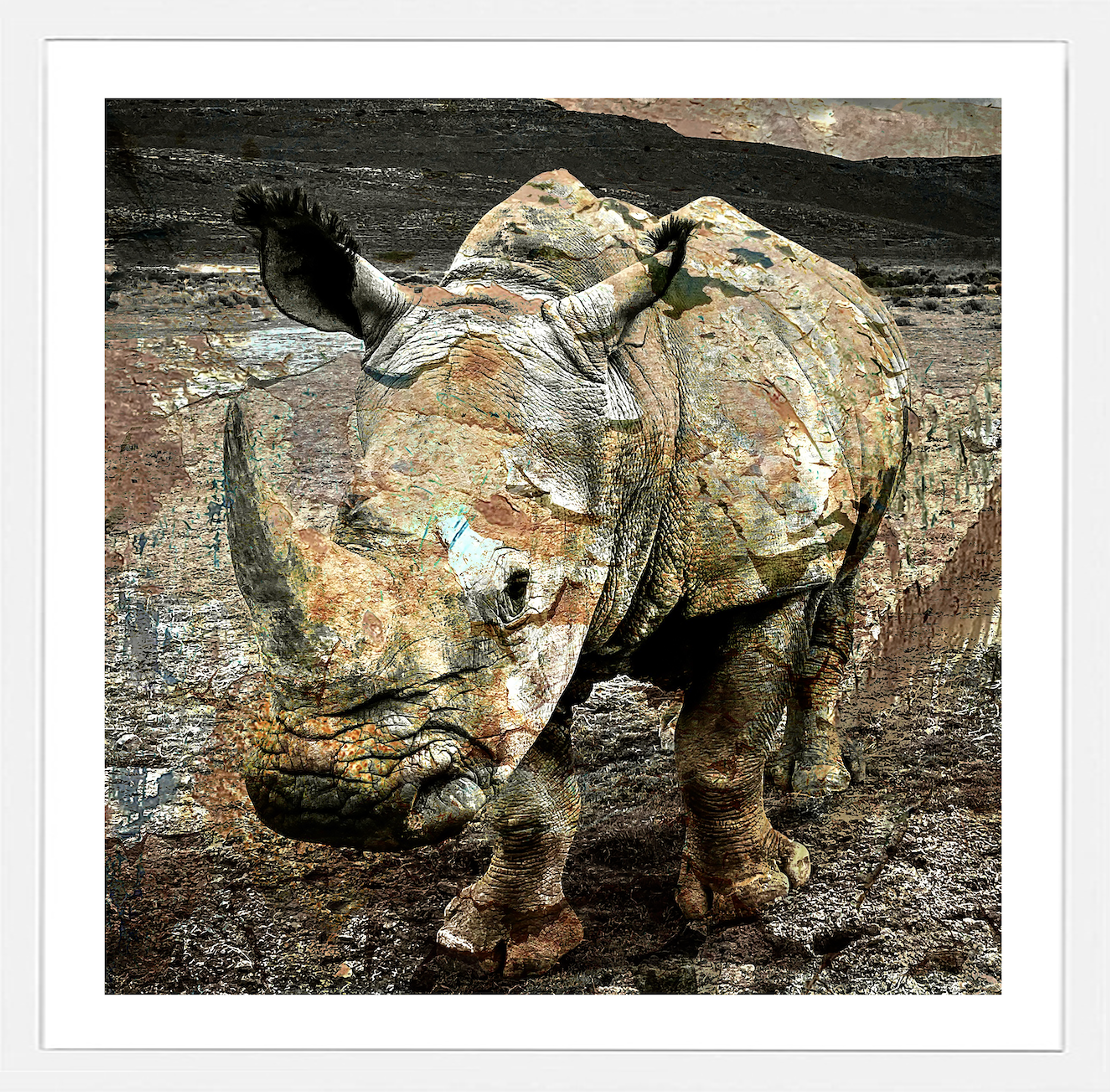 Painted Rhino.png