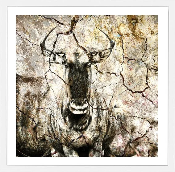 Wild-Beast-sm.jpg