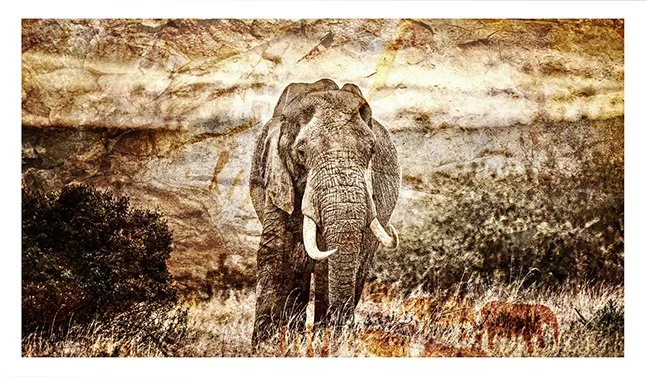 Elephant-Rock-Art-sm-UF.jpg