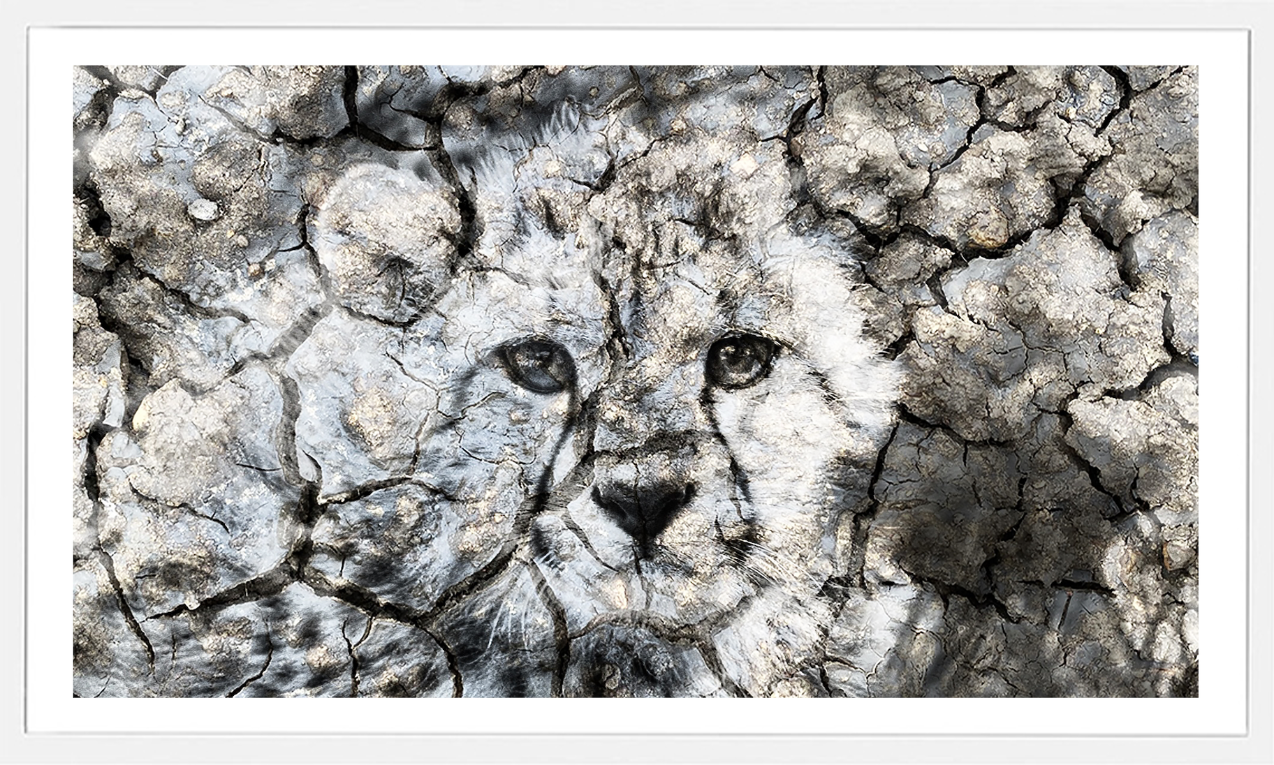 Snow Cheetah.png