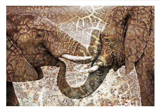 Henna-sm-UF.jpg