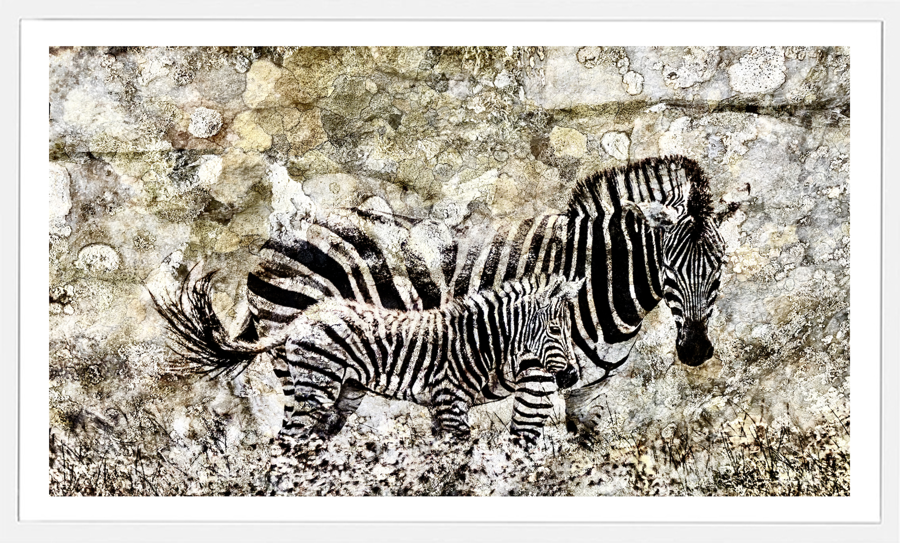 Fynbos Mother and Child.png
