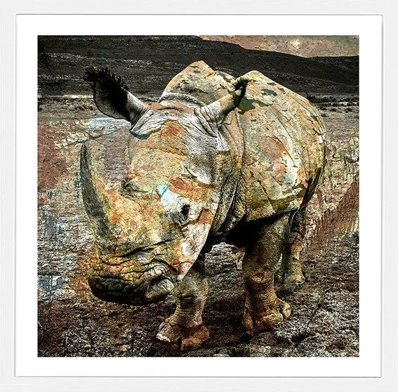 Painted-Rhino-sm.jpg